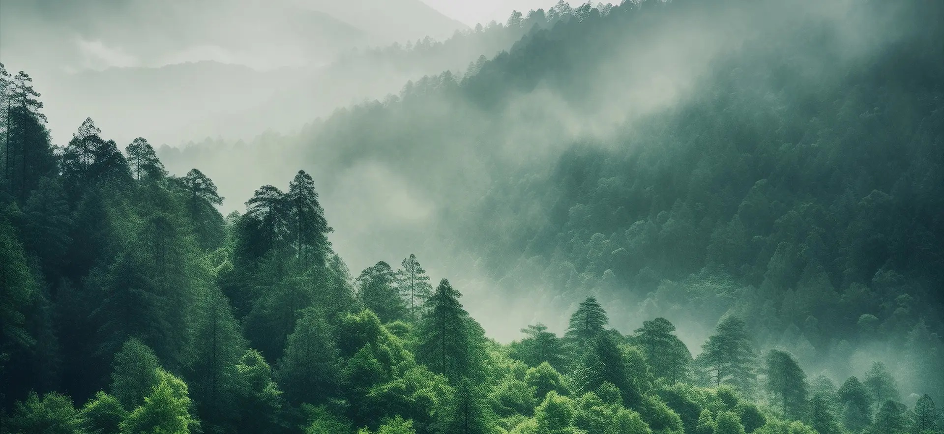 Shaoxing Yihan Textile Co., Ltd.